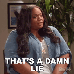 Thats A Damn Lie Meme GIF