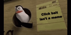 Thats Bait Frantic Penguin Pointing GIF
