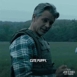 Thats Cute Puppy Justified Scene GIF