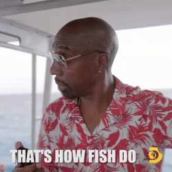 Thats How A Man Fish JB Smoove GIF