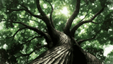 The Ancient Magus' Bride Big Tree