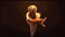 The Animal Crackers Ian Mckelle Hey Hello Handsome GIF