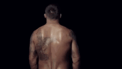 The Beast In Fight Boxing Ring GIF