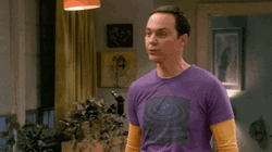 The Big Bang Theory Sheldon You Go Girl