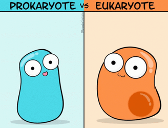 The Biology Of Prokaryote And Eukaryote GIF