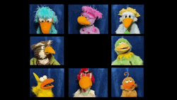 The Birdie Bunch Video Call