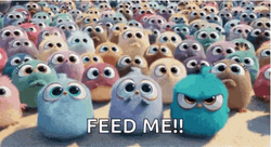 The Birds Angry Birds Feed Me GIF