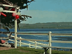 The Birds Attacking Birthday Party GIF