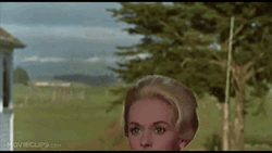 The Birds Tippi Hedren GIF