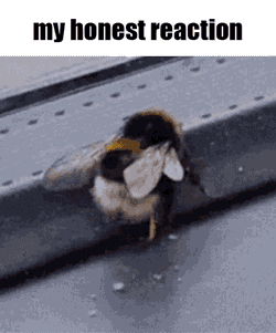 The Bug Shaker My Honest Reaction GIF
