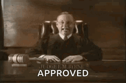 The Case Is Approved By Judge GIF
