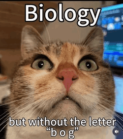 The Cat Biology GIF
