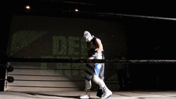 The Champ Is Here Doing Lunging Pose GIF
