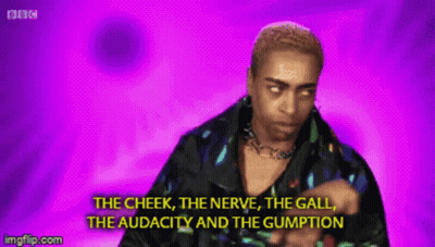 The Cheek The Nerve The Gumption GIF