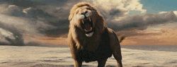The Chronicles Of Narnia Angry Aslan GIF