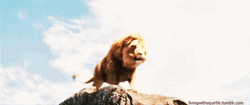 The Chronicles Of Narnia Fantasy Movie GIF