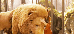 The Chronicles Of Narnia Lucy Hugging Aslan GIF