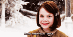The Chronicles Of Narnia Lucy Meets Tumnus GIF