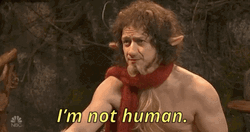 The Chronicles Of Narnia Mr. Tumnus Not Human GIF
