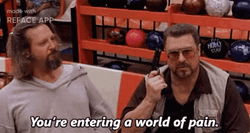The Dude You're Entering A World Of Pain GIF