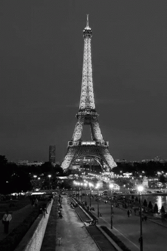 The Eiffel Tower Is Lit Up At Night In A Black And White Photo GIF