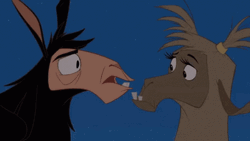 The Emperor's New Groove Llama Drama GIF
