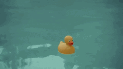 The End Rubber Duck