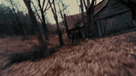 The Evil Dead Home GIF