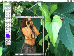 The Files Are In The Computer Art 90S GIF