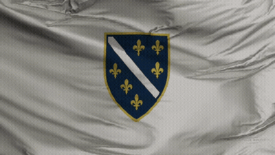 The Flag Of Bosnia And Herzegovina Has A Coat Of Arms With Fleur De Lis On It GIF