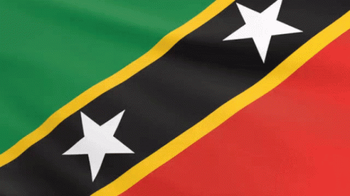 The Flag Of Saint Vincent And The Grenadines Has Two White Stars GIF