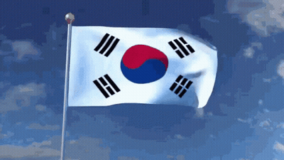 The Flag Of South Korea Is Flying In The Wind GIF