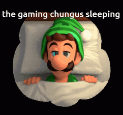 The Gaming Chungus Sleeping GIF