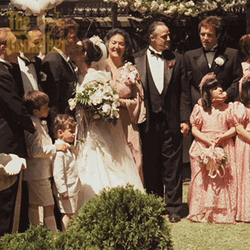 The Godfather Vito Corleone Wedding Picture GIF