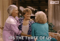The Golden Girls It's The Three Of Us GIF