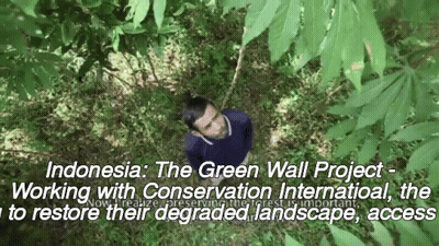The Green Wall Project Is Working With Conservation International To Restore Their Degraded Landscape Access GIF