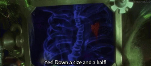 The Grinch From The Movie The Grinch Is Holding A Picture Frame And Says `` Yes ! Down A Size And A Half ! '' GIF