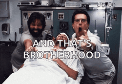 The Hangover That's Brotherhood GIF