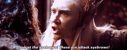 The Hobbit Look At The Attack Eyebrows  GIF