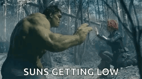 The Hulk And Black Widow Are Fighting In The Woods And The Hulk Is Green . GIF
