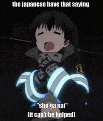 The Japanese Have That Saying Sho Ga Nai It Can 'T Be Helped GIF