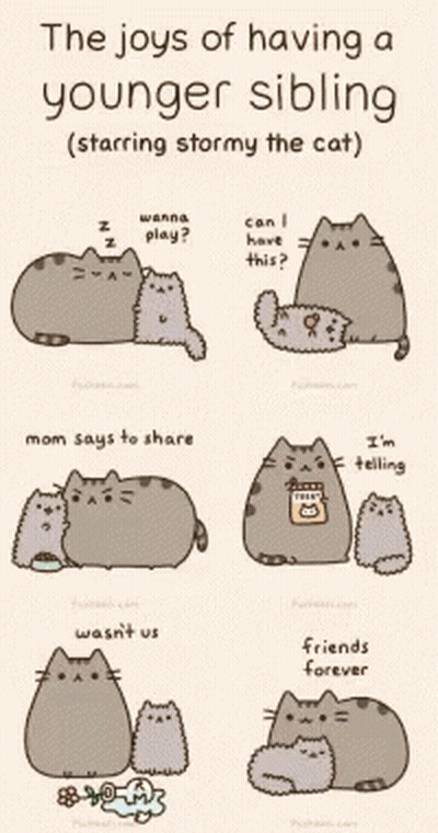 The Joys Of Having A Younger Sibling Starring Stormy The Cat Are Illustrated GIF