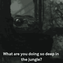 The Jungle Book Disney GIF
