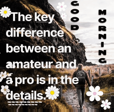The Key Difference Between An Amateur And A Pro Is In Details GIF