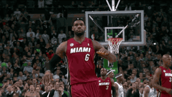 The King LeBron James GIF