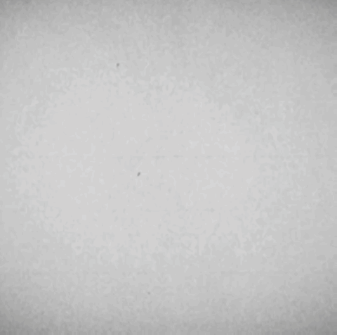 The Letter X Is In A Circle With Flowers And Leaves GIF