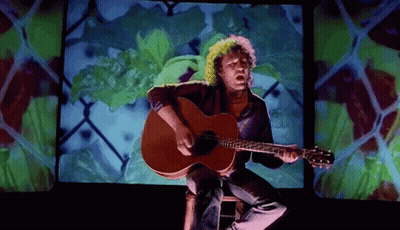 The Levellers Folk GIF