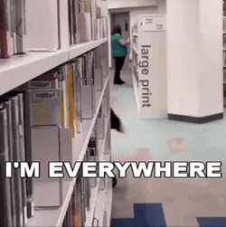 The Librarian College Shorts GIF