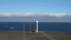 The Lighthouse Embrace Beauty GIF