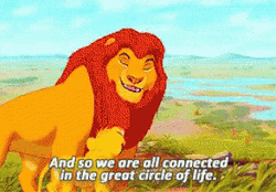 The Lion King Mufasa Circle Of Life GIF